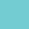 311 - Schelpenschelp