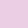 420 - Rose classique