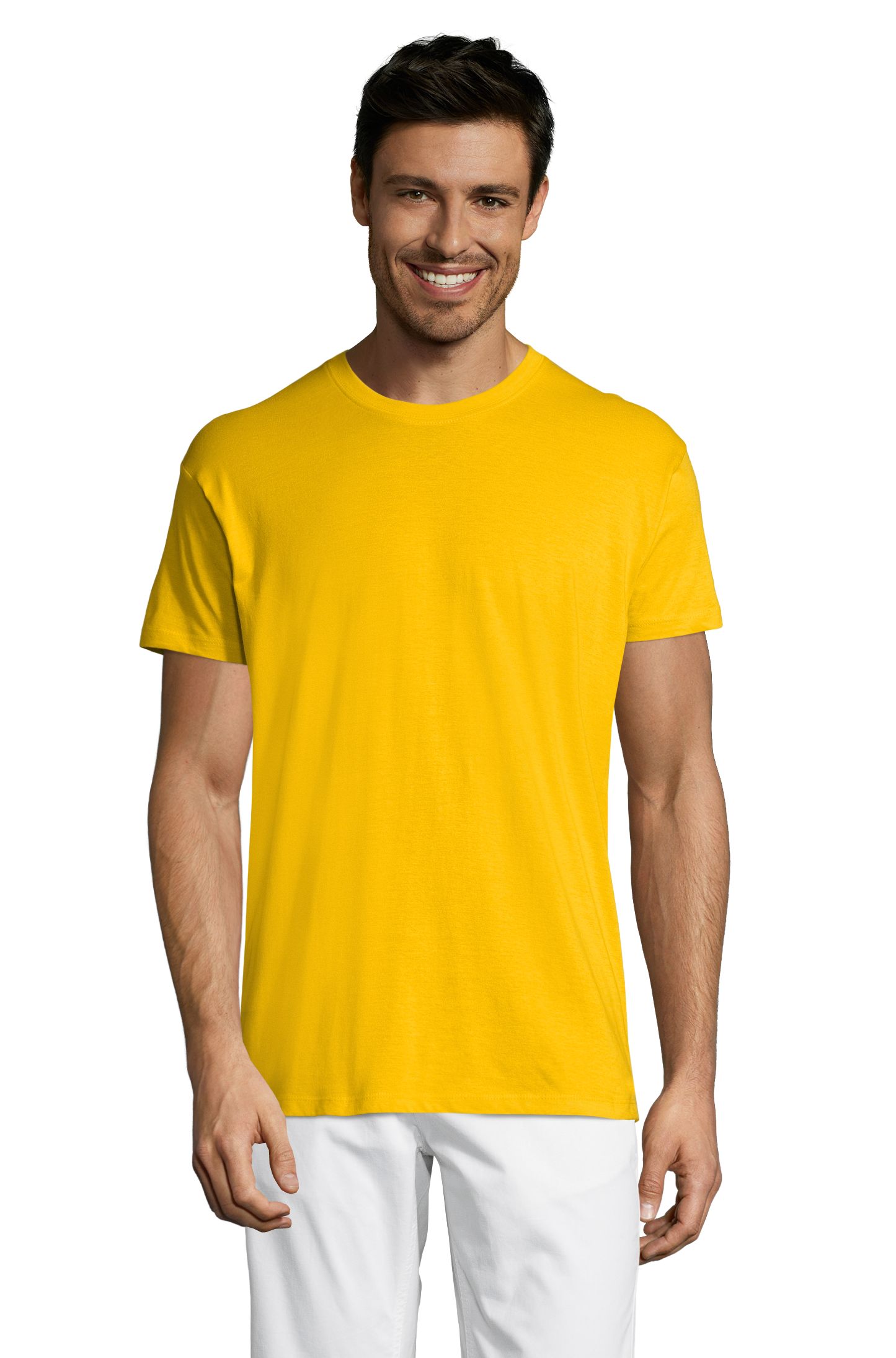 REGENTES - 301 - GOUDEN GEEL