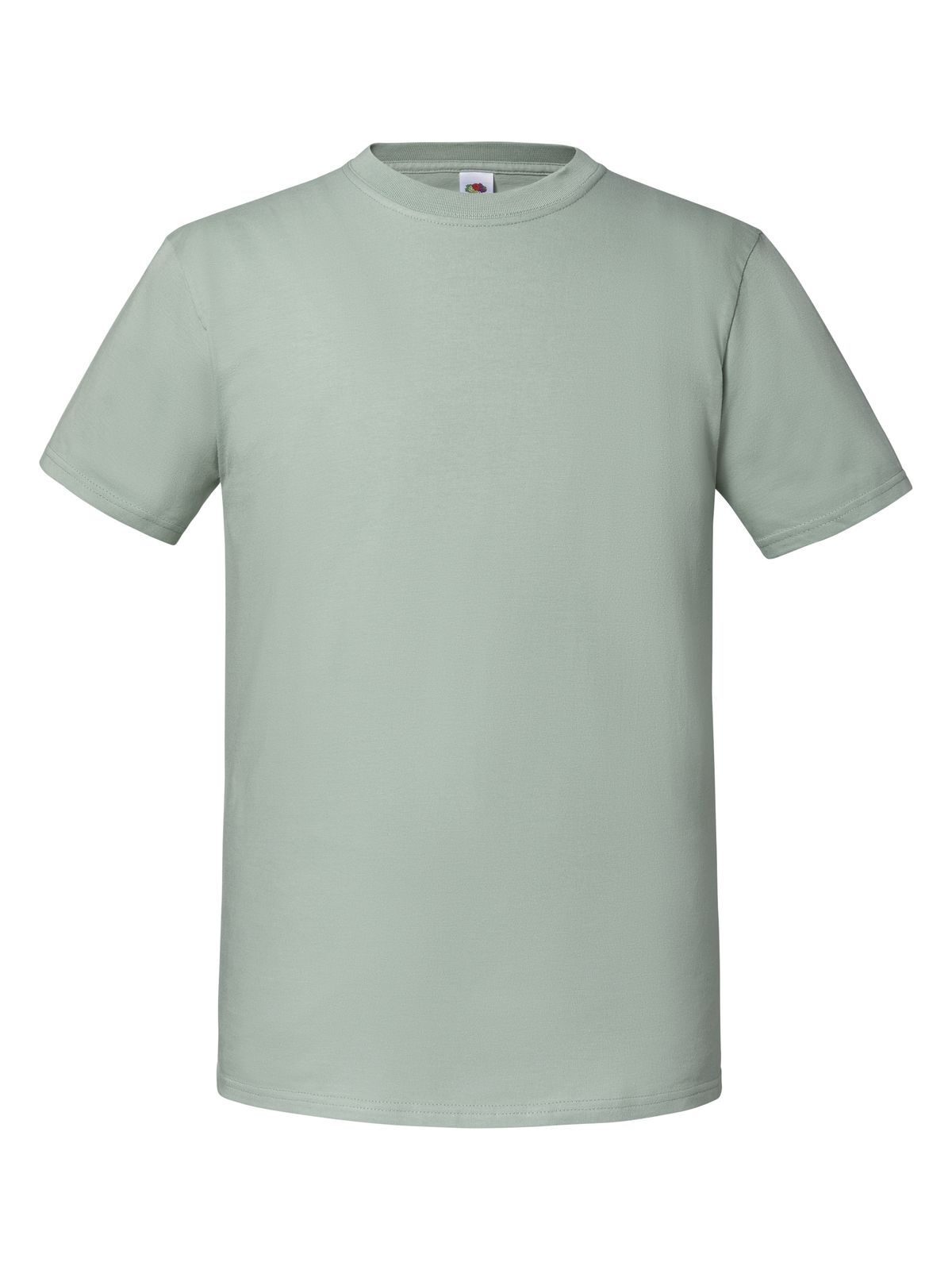 Iconische 195 Ringspun T - JS - Sage